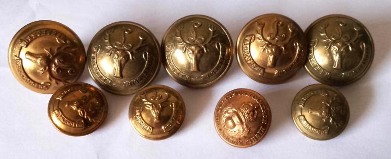 10 x Seaforth Highlanders Tunic buttons